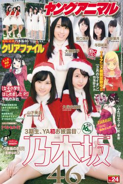 平凡之路免费观看40集完整版